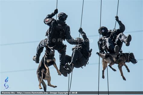 N.O.C.S: Unità Speciali di Polizia .